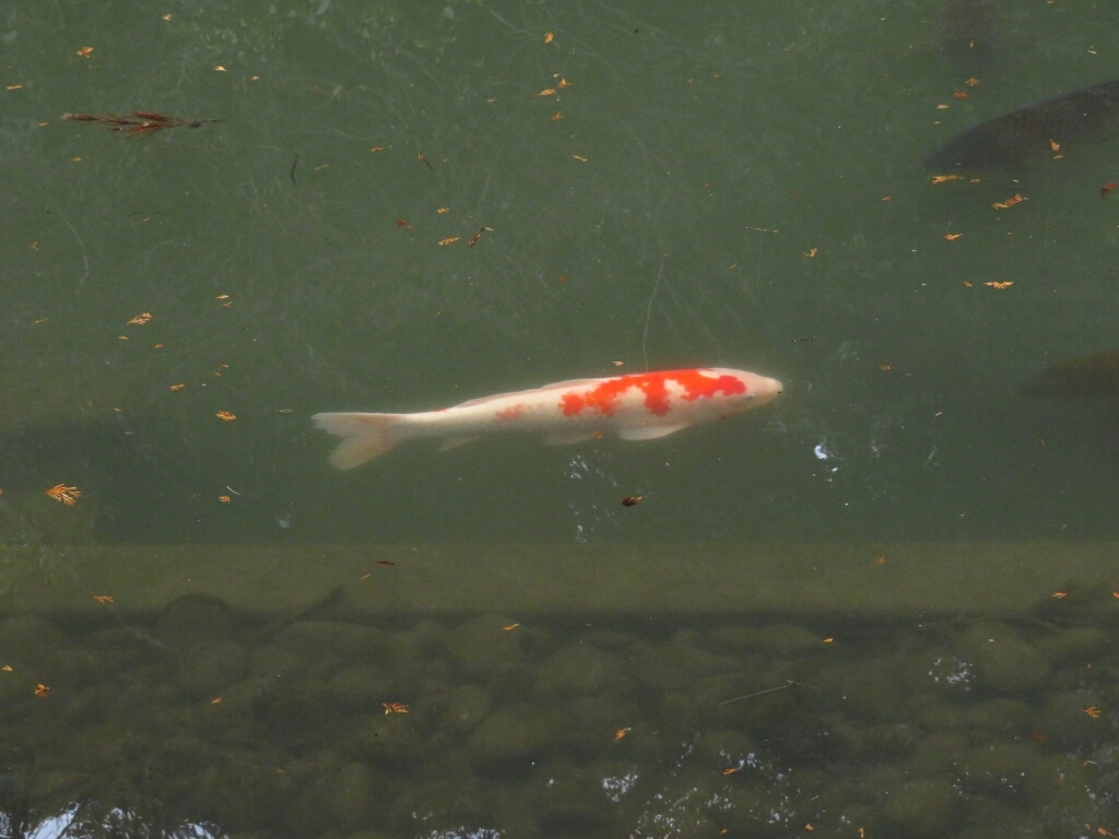 a0018655_15354490.jpg