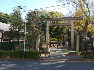 a0057057_21462955.png