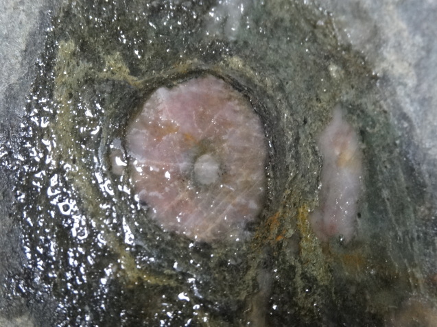 d0171959_00322295.jpg