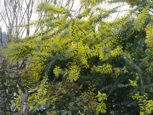f0113862_18331055.jpg