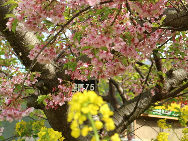 f0345263_23215097.jpg