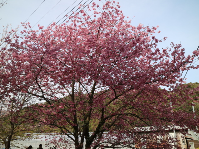 f0345263_23223507.jpg
