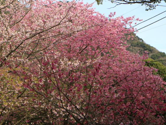 f0345263_23231085.jpg