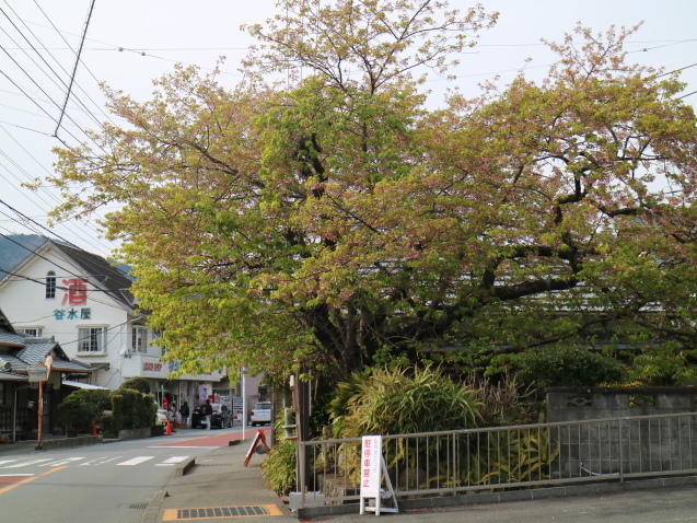 f0345263_23235758.jpg