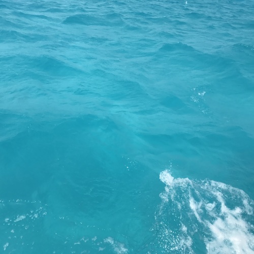 f0057765_21290313.jpg