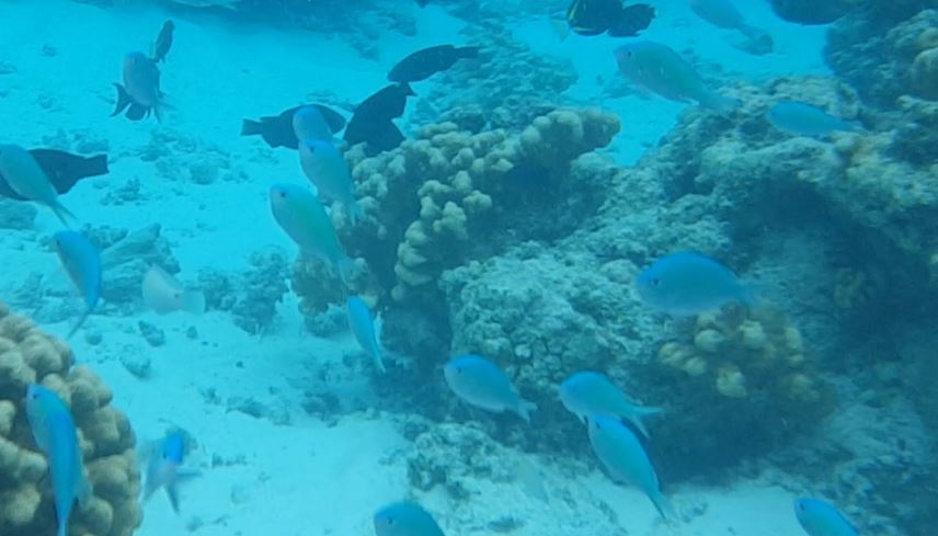 f0057765_22264775.jpg