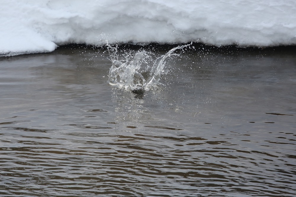 f0347565_20173830.jpg