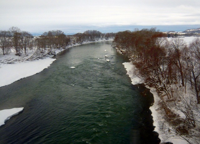 e0122168_16170917.jpg