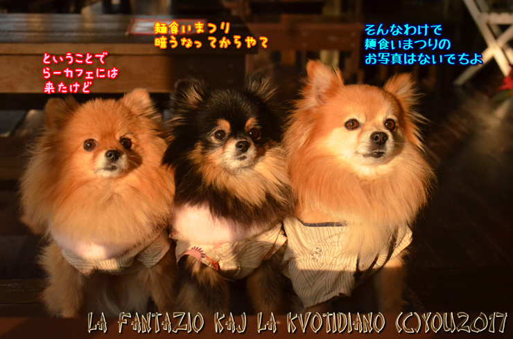 a0004070_20042209.jpg