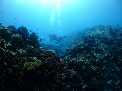 b0033573_17292890.jpg