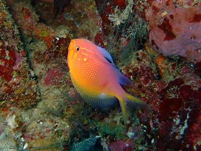 b0033573_17302365.jpg