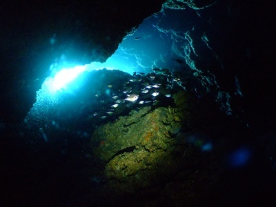 b0033573_17304617.jpg