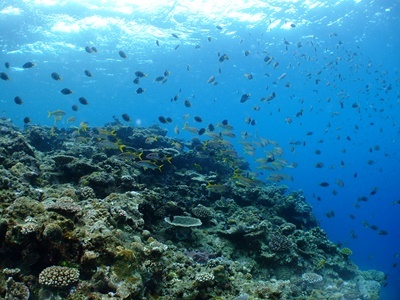 b0033573_17305809.jpg