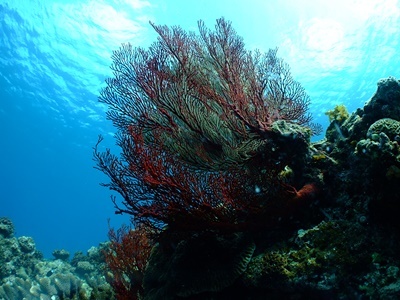 b0033573_17312957.jpg