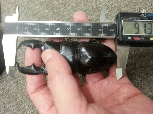 f0183484_15534356.jpg