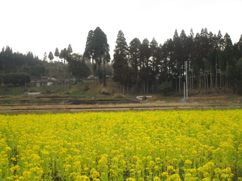 a0143388_12573918.jpg