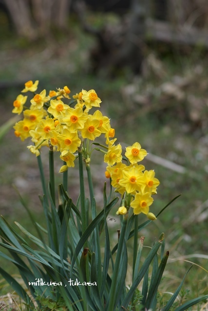 e0040092_17073416.jpg