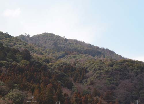 d0053294_13421564.jpg