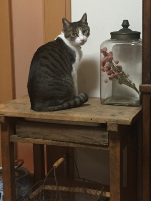 e0254894_22122158.jpeg