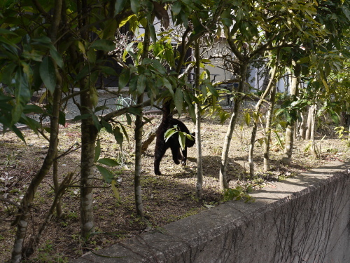 e0167795_12211770.jpg