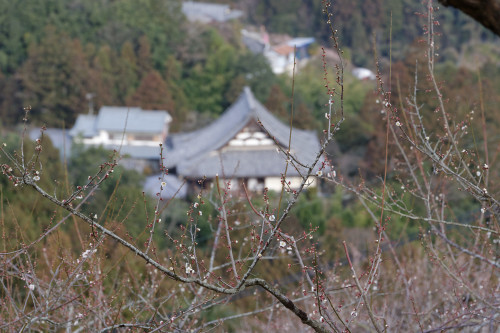 e0366896_10520456.jpg