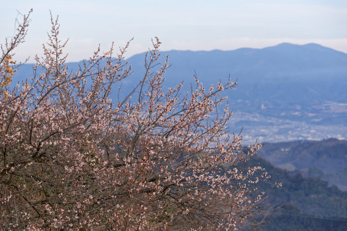e0366896_10521270.jpg