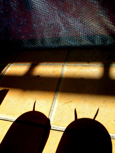 a0199297_19231178.jpg