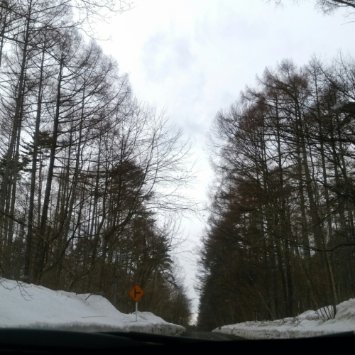 d0174598_07442123.jpg