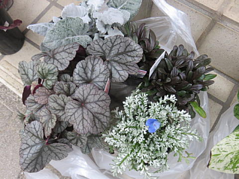 d0046702_06423216.jpg