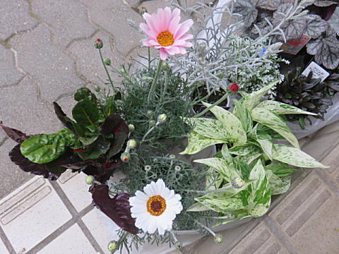 d0046702_06430247.jpg