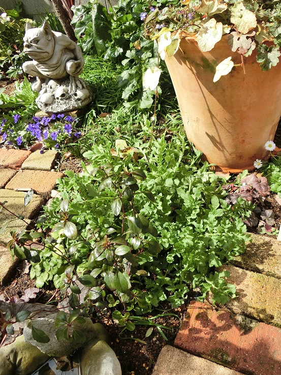 e0234004_20103577.jpg
