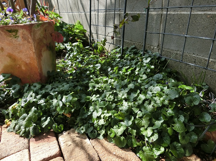 e0234004_2010651.jpg