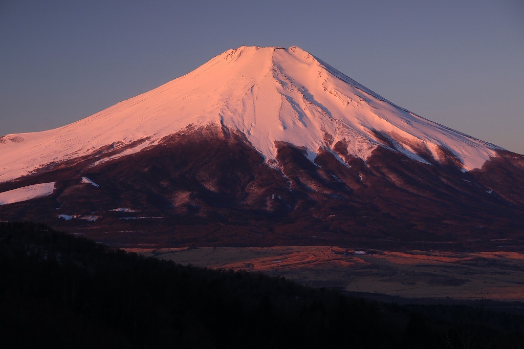 a0188405_23000444.jpg