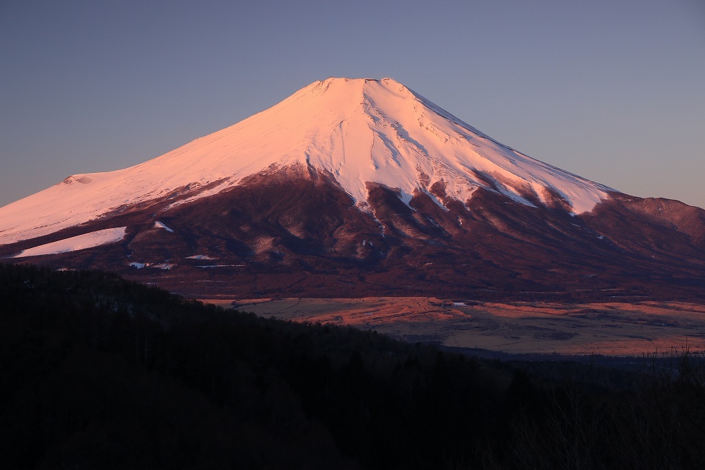 a0188405_23041514.jpg