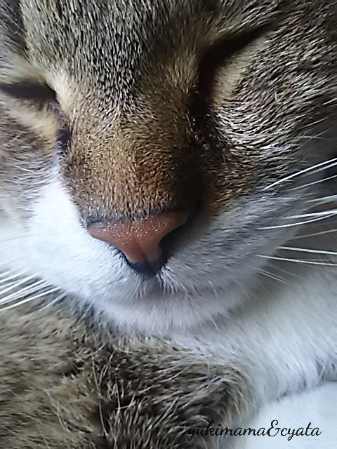f0316507_20550394.jpg