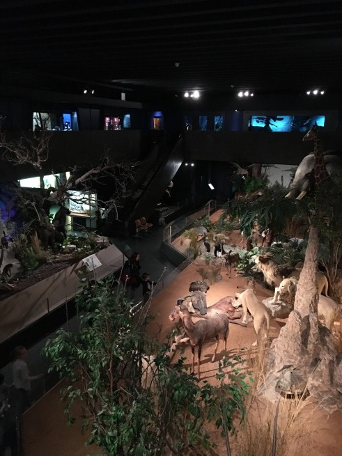 d0034609_16523947.jpg