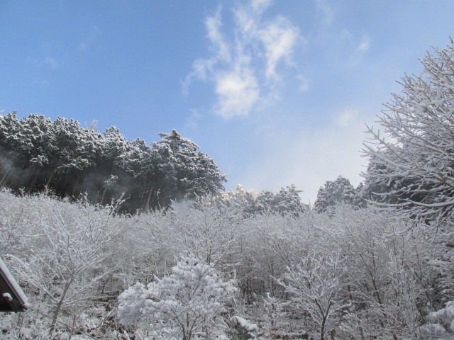 f0341616_14212501.jpg