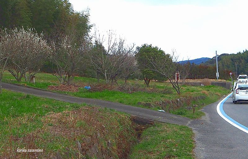 c0330122_17274629.jpg
