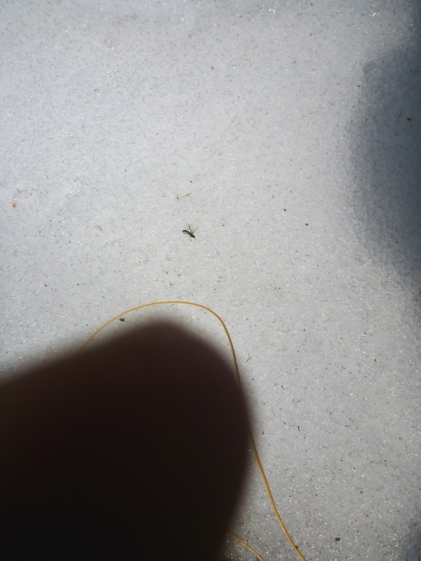 d0091323_14111246.jpg