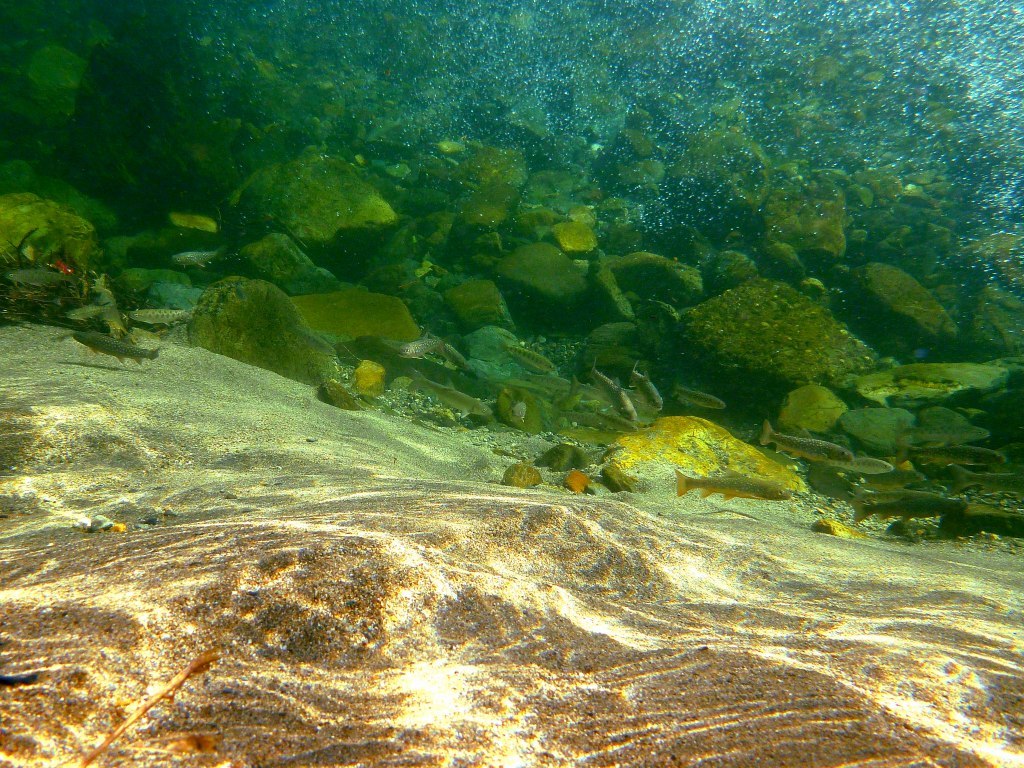 d0091323_14114649.jpg
