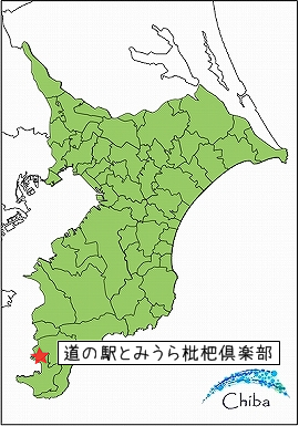 d0179828_08300504.png