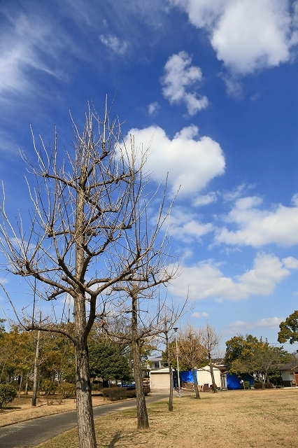 a0242438_22073786.jpg