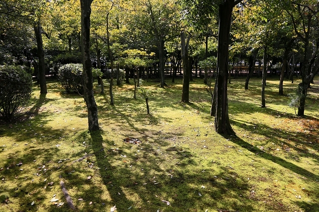 a0242438_22074226.jpg