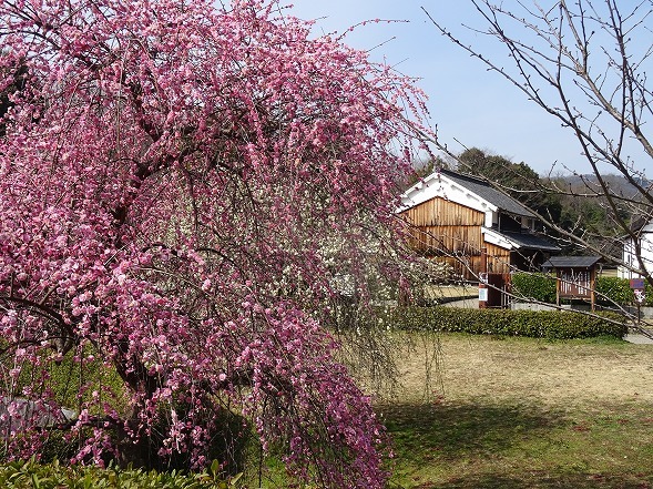 b0299042_12584901.jpg