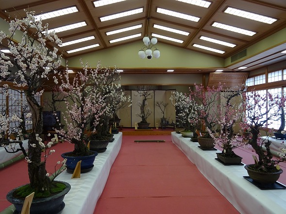 b0299042_14151157.jpg