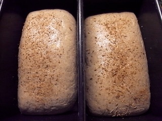 d0350542_13402383.jpg