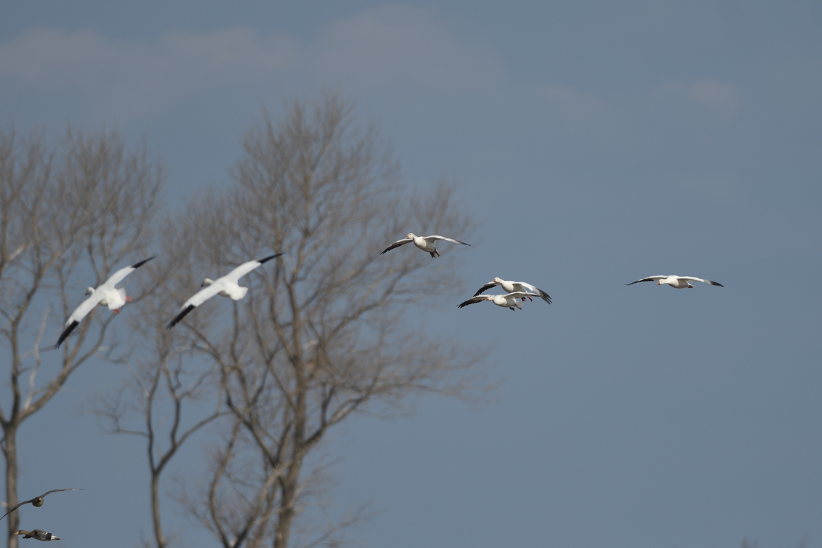a0039245_201150.jpg