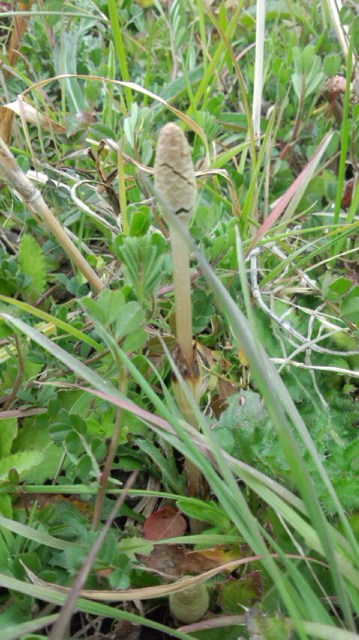 c0011649_3352157.jpg