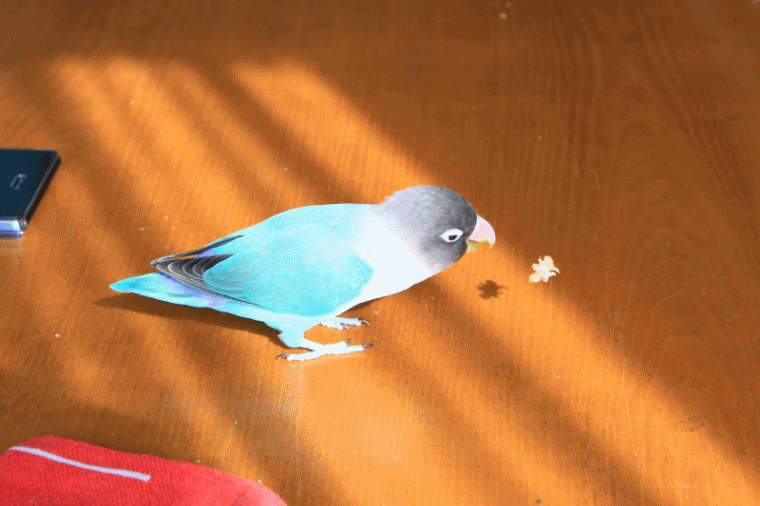 c0145250_09542796.gif