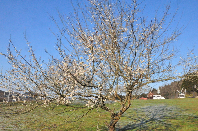 b0214652_16031523.jpg